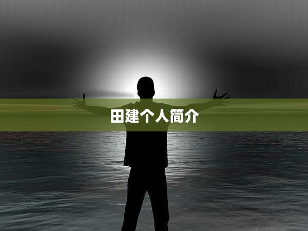 田建个人简介