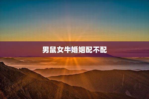 男鼠女牛婚姻配不配