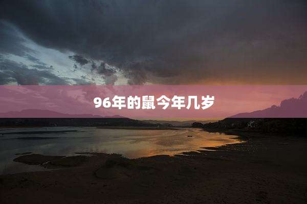 96年的鼠今年几岁