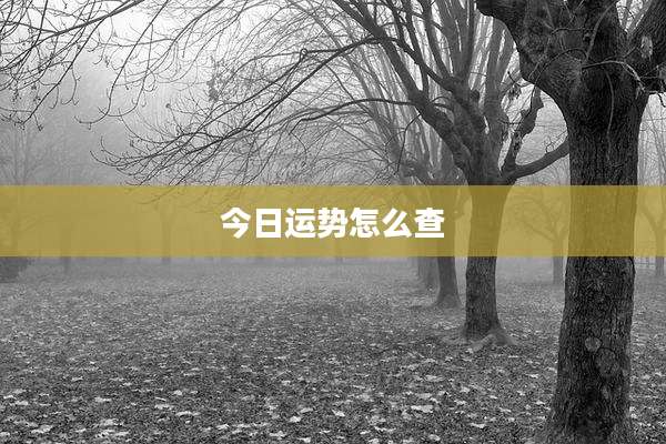 今日运势怎么查