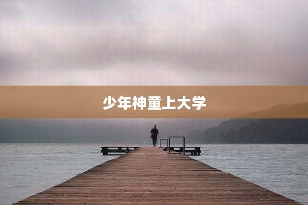 少年神童上大学