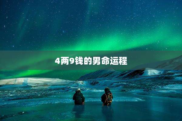4两9钱的男命运程