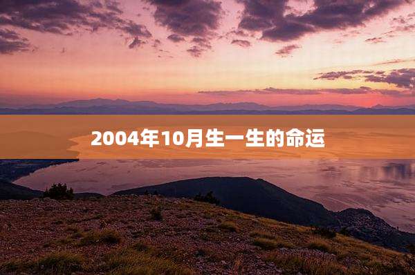 2004年10月生一生的命运