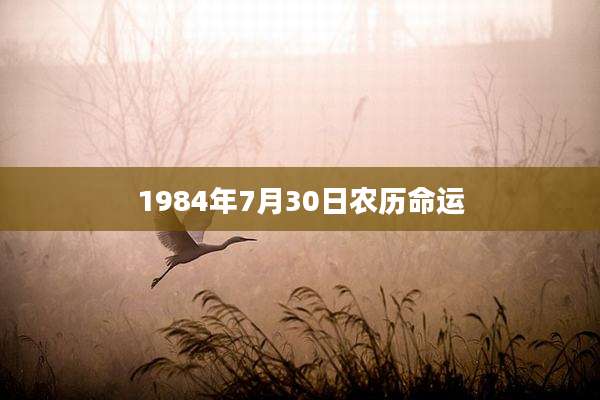 1984年7月30日农历命运