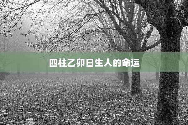 四柱乙卯日生人的命运