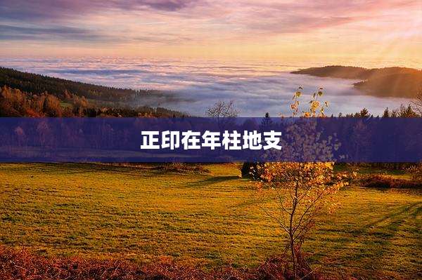正印在年柱地支