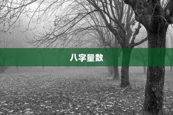 八字量数