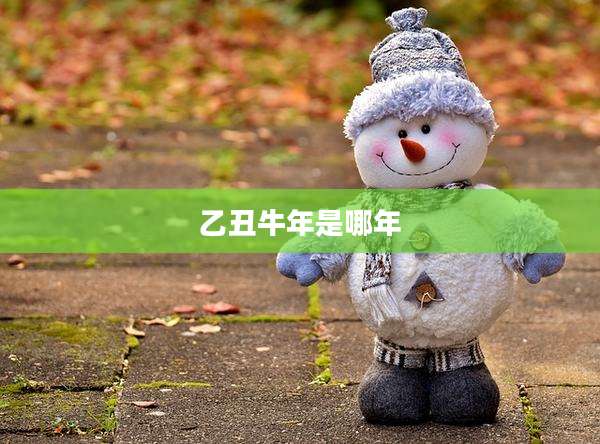 乙丑牛年是哪年