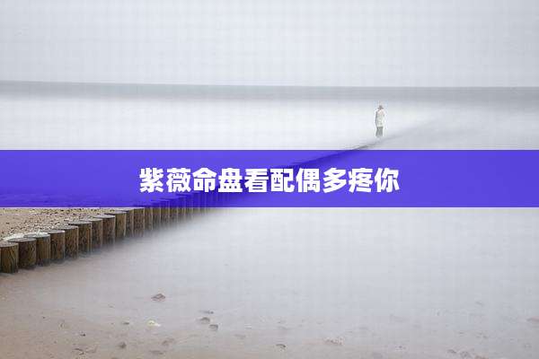 紫薇命盘看配偶多疼你