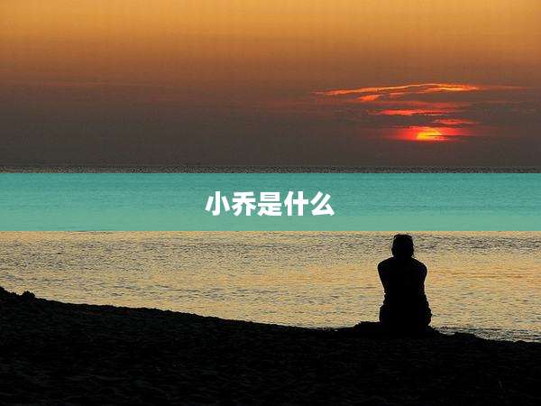 小乔是什么