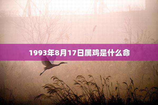 1993年8月17日属鸡是什么命