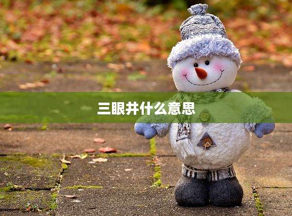 三眼井什么意思