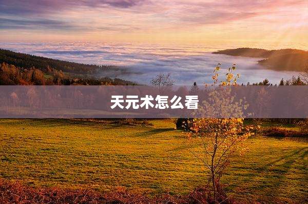 天元术怎么看