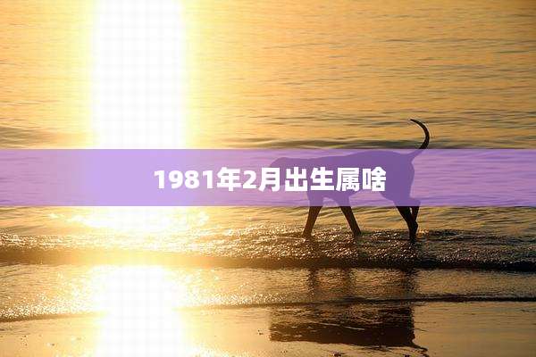 1981年2月出生属啥