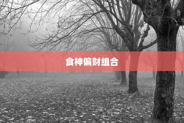 食神偏财组合