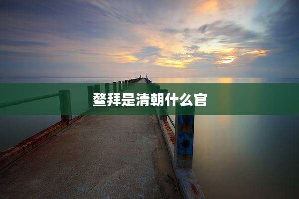鳌拜是清朝什么官