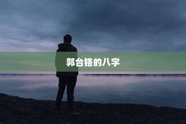 郭台铬的八字