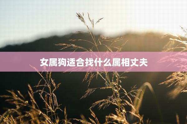 女属狗适合找什么属相丈夫