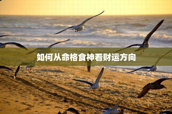 如何从命格食神看财运方向