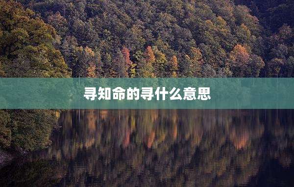 寻知命的寻什么意思