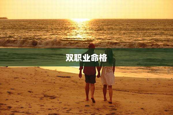 双职业命格