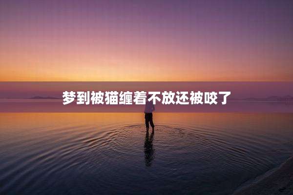 梦到被猫缠着不放还被咬了