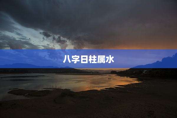 八字日柱属水