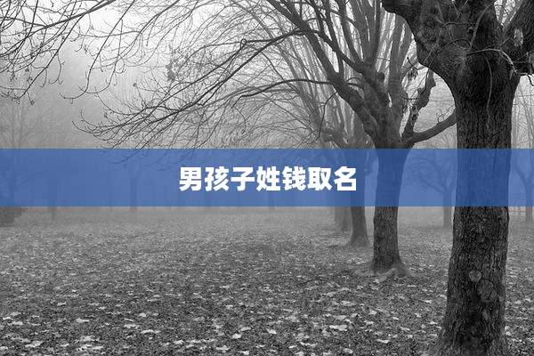男孩子姓钱取名