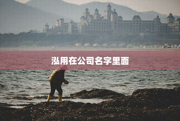 泓用在公司名字里面