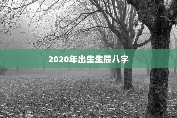 2020年出生生辰八字