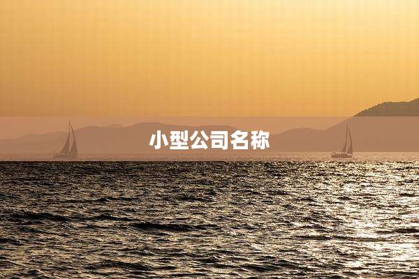 小型公司名称