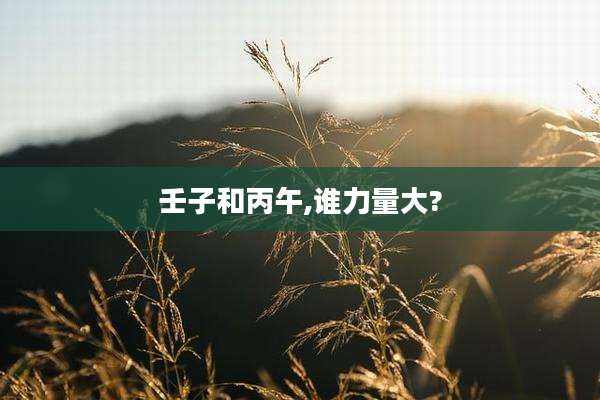 壬子和丙午,谁力量大?