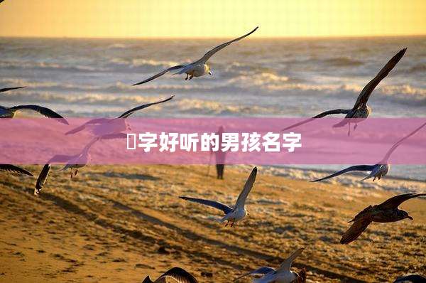 瑨字好听的男孩名字