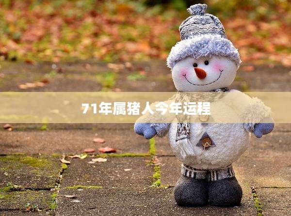 71年属猪人今年运程