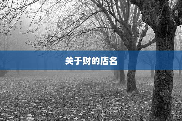 关于财的店名