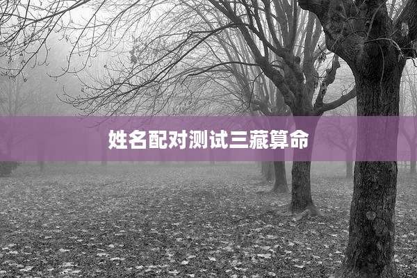 姓名配对测试三藏算命