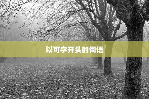以可字开头的词语