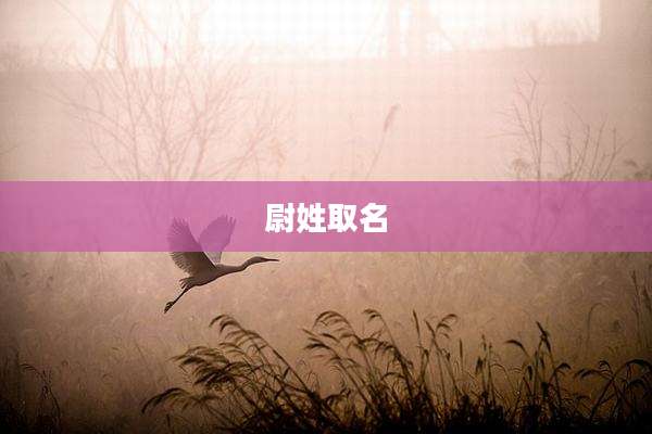 尉姓取名