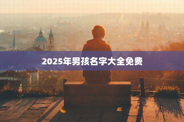 2025年男孩名字大全免费