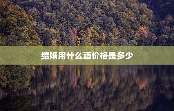 结婚用什么酒价格是多少