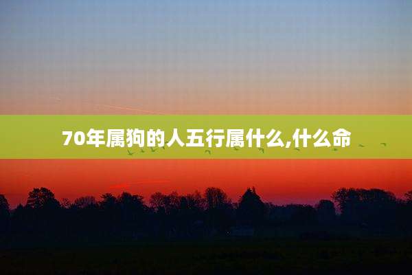 70年属狗的人五行属什么,什么命