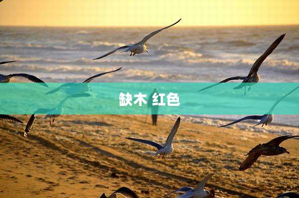 缺木 红色