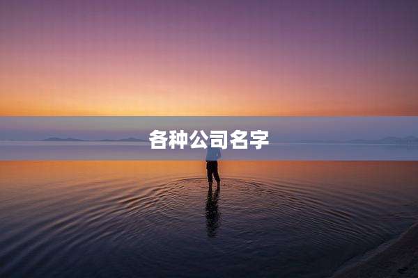 各种公司名字