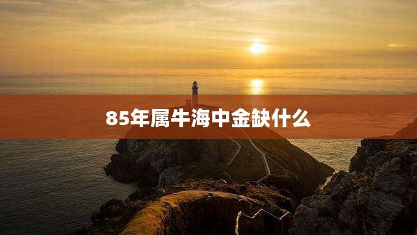 85年属牛海中金缺什么