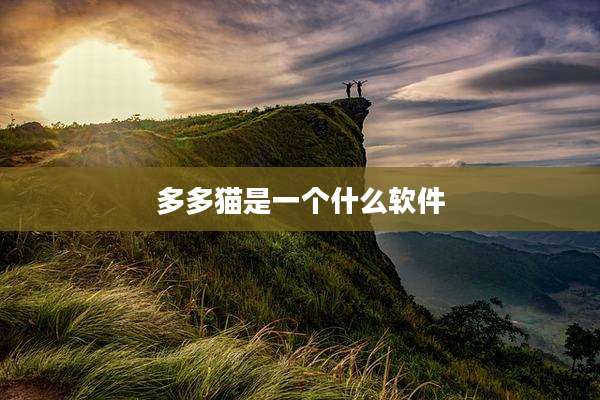 多多猫是一个什么软件