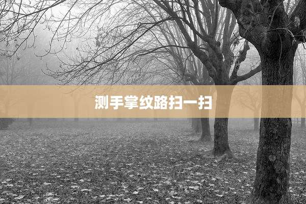 测手掌纹路扫一扫