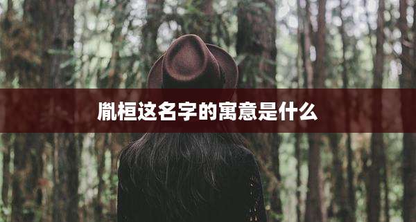 胤桓这名字的寓意是什么