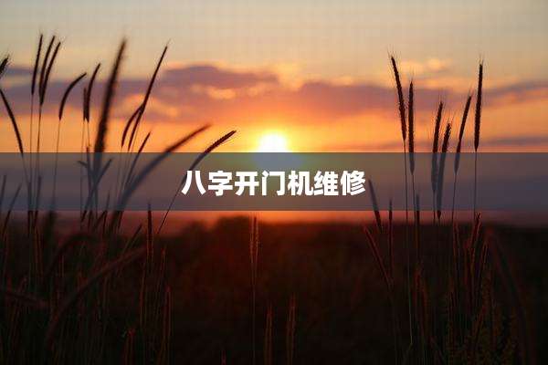 八字开门机维修