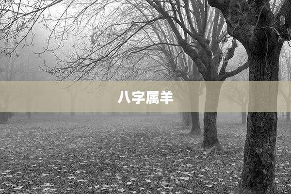 八字属羊