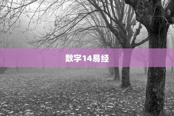 数字14易经